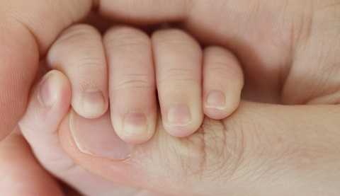 Image of an infant's hand held by an adult